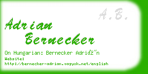 adrian bernecker business card